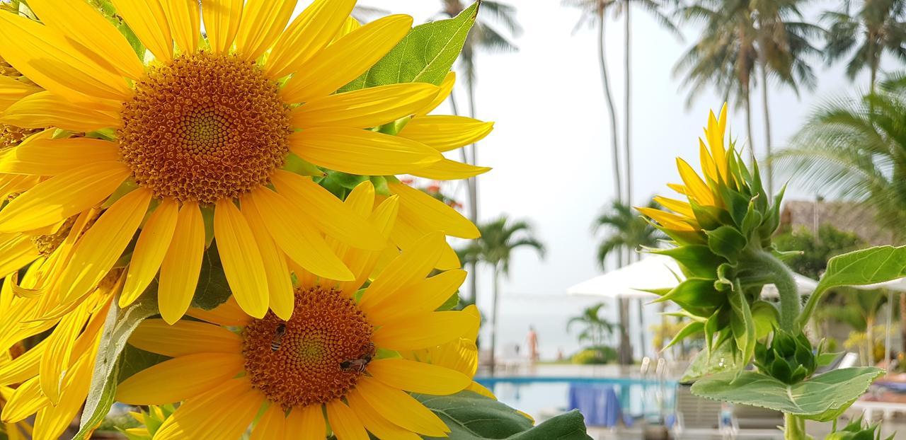 מואי נה Sun & Sands Beach Hotel מראה חיצוני תמונה
